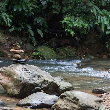 Rain Forest Guest House And Jungle Trekking Bukit Lawang Esterno foto