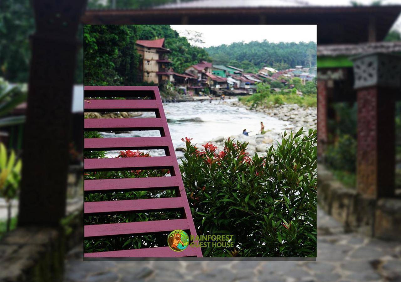 Rain Forest Guest House And Jungle Trekking Bukit Lawang Esterno foto
