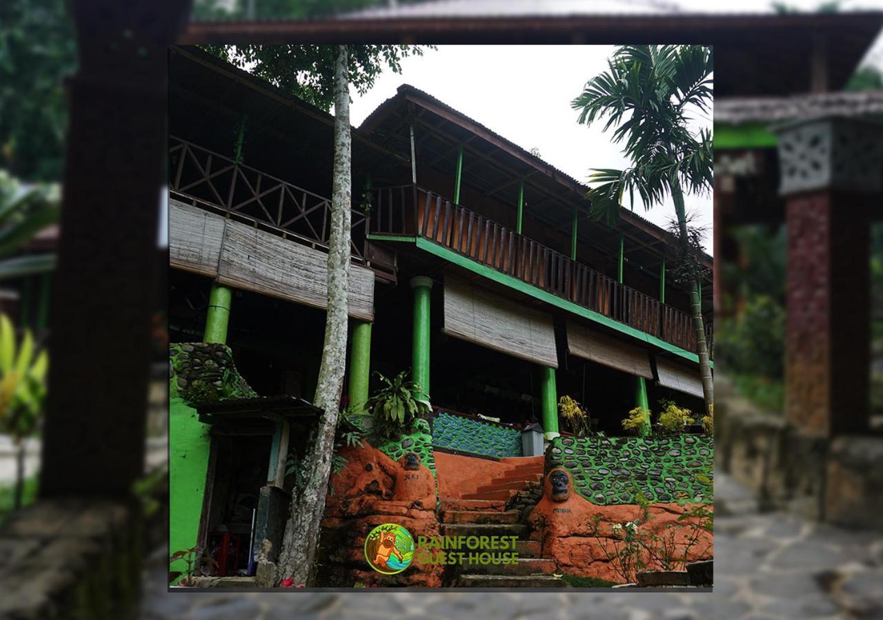 Rain Forest Guest House And Jungle Trekking Bukit Lawang Esterno foto