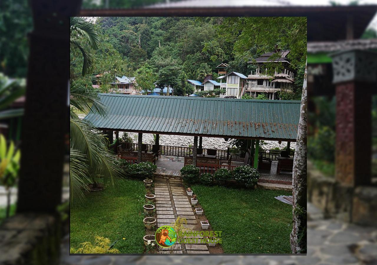 Rain Forest Guest House And Jungle Trekking Bukit Lawang Esterno foto