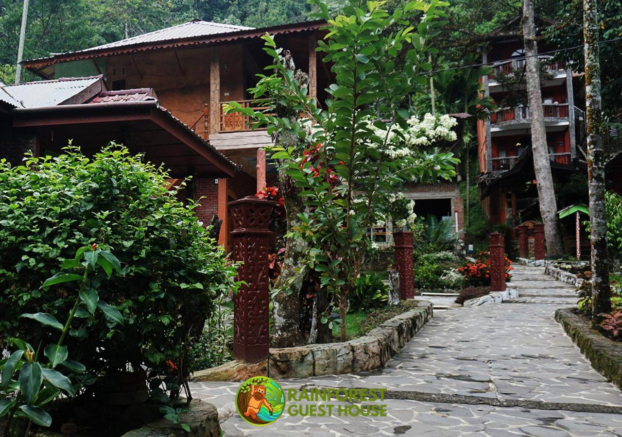 Rain Forest Guest House And Jungle Trekking Bukit Lawang Esterno foto