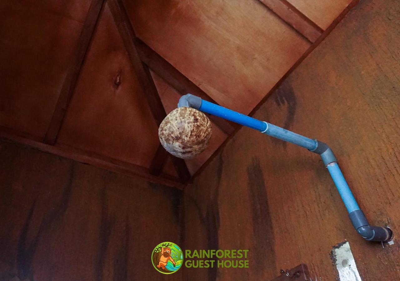 Rain Forest Guest House And Jungle Trekking Bukit Lawang Esterno foto