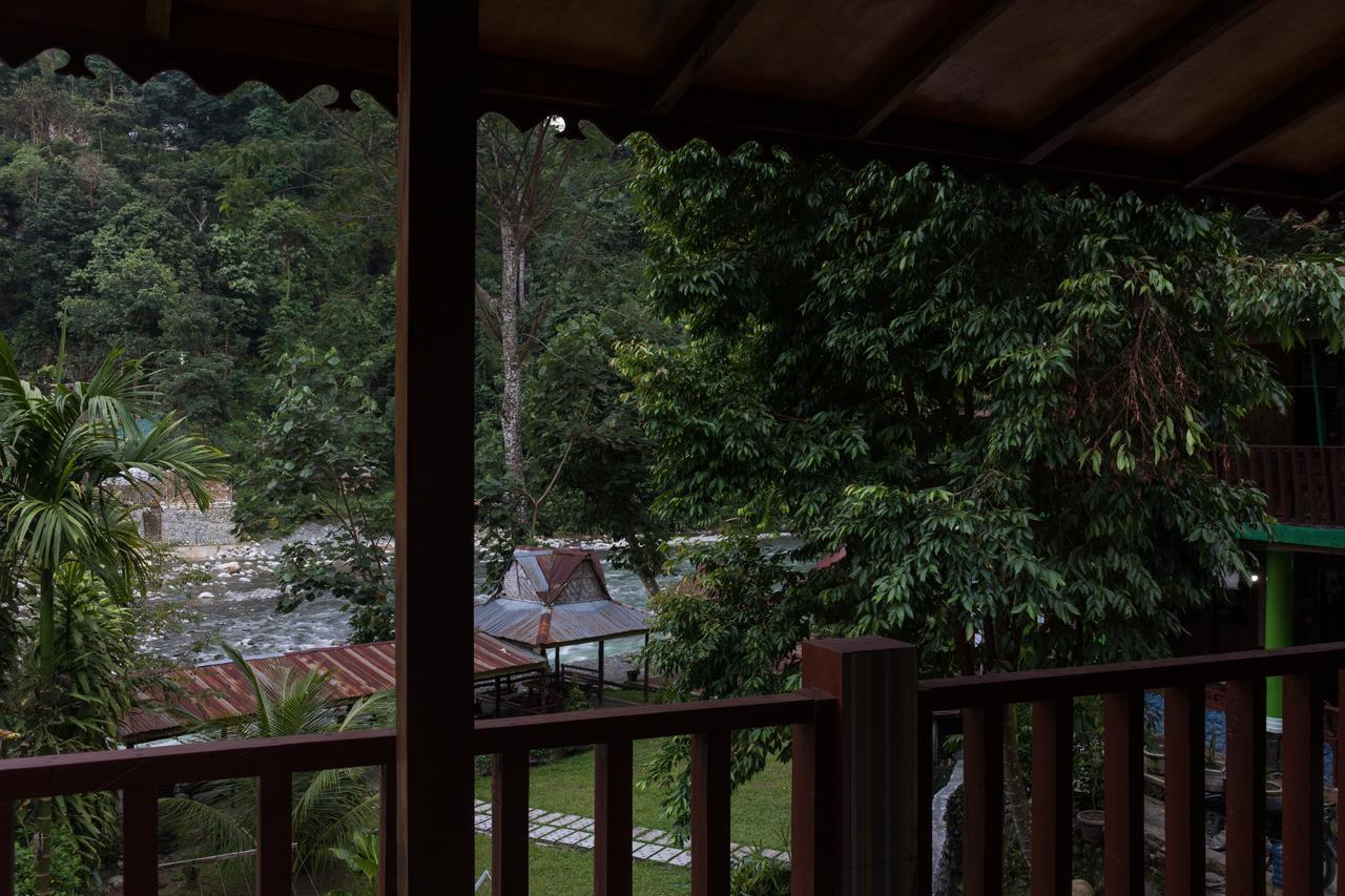 Rain Forest Guest House And Jungle Trekking Bukit Lawang Esterno foto