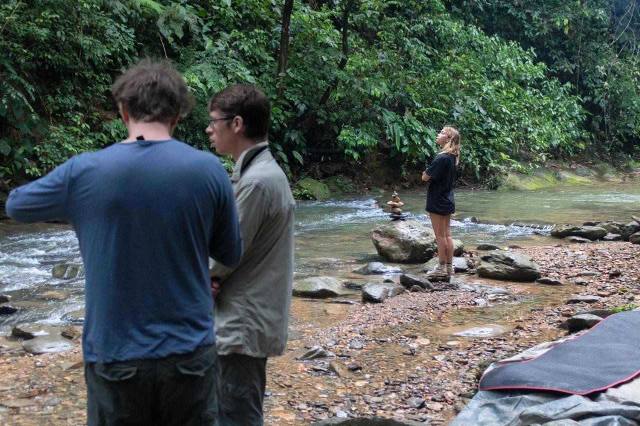 Rain Forest Guest House And Jungle Trekking Bukit Lawang Esterno foto